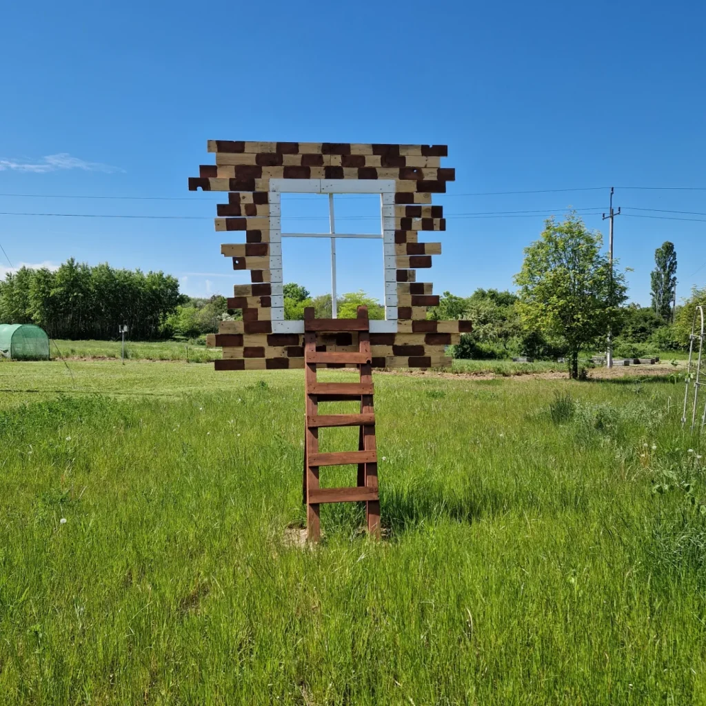 okno z drabiną na trawie